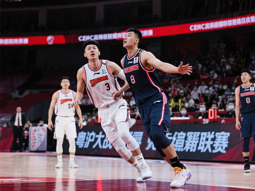 极寻找替代 极寻找替代